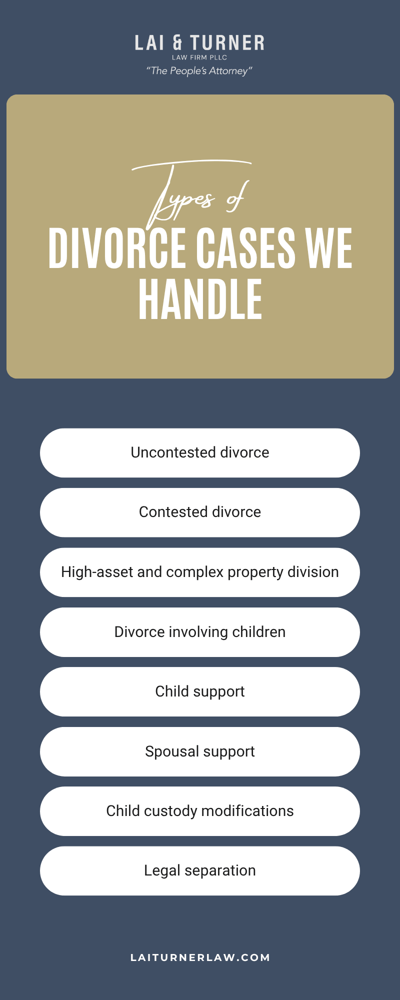 Divorce Cases We Handle Infographic